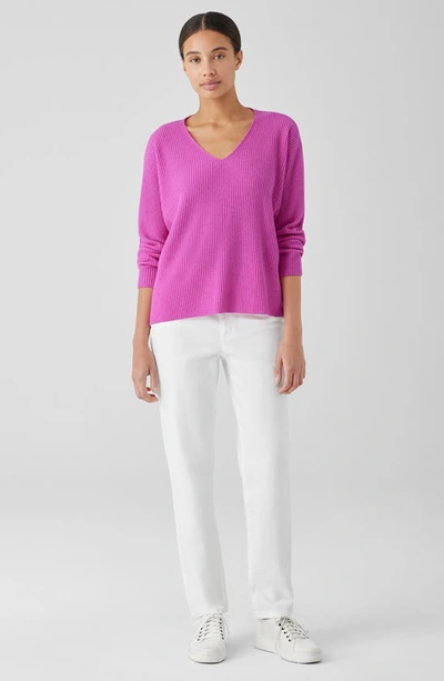 Shop Eileen Fisher V-neck Cashmere Rib Pullover Sweater In Tulip