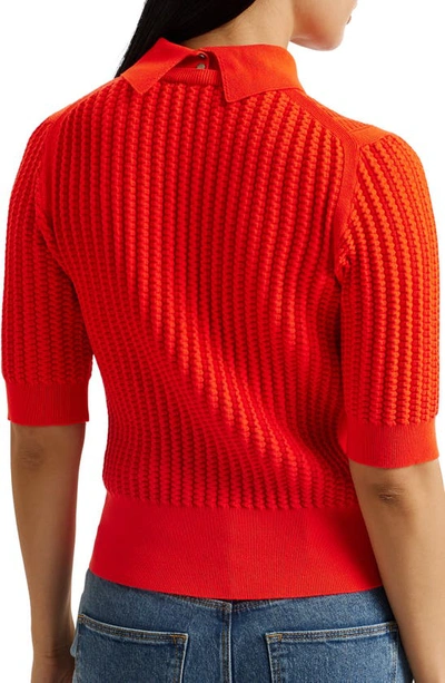 Shop Ted Baker Morliee Crop Sweater In Red