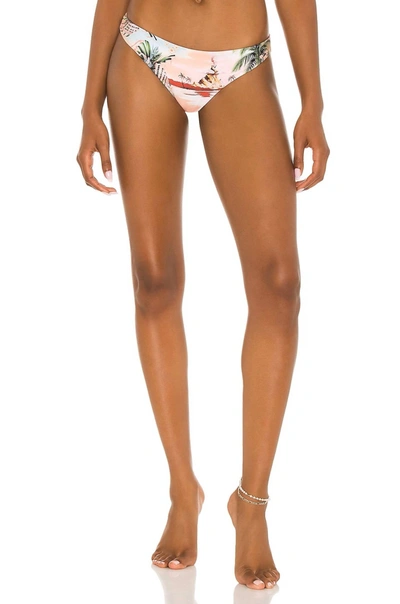 Agua Bendita Lola Luau Bikini Bottom In Multicolor In Multi