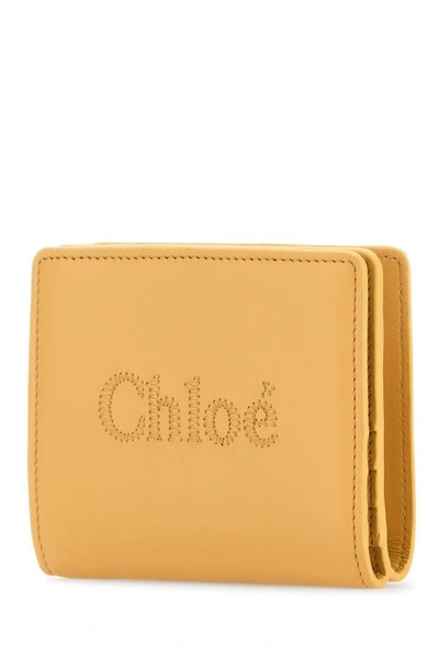 Chloé Chloe Women Peach Leather Wallet In Pink