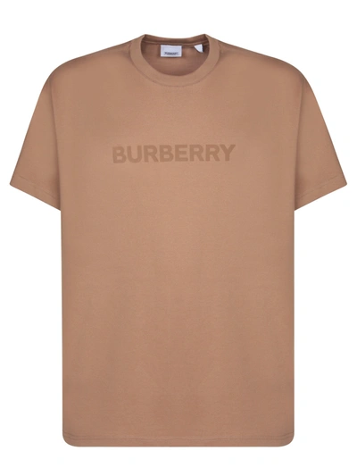 Shop Burberry Harriston Beige T-shirt In Brown