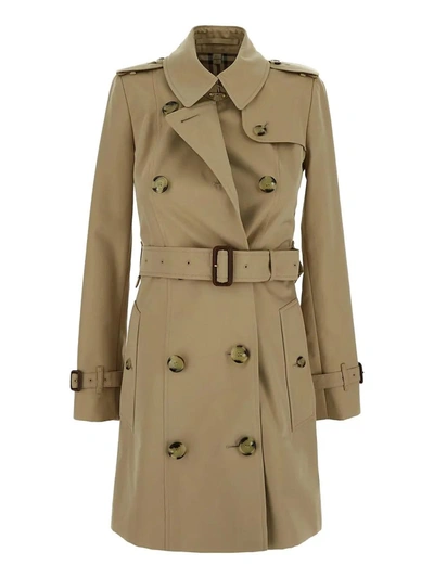 Shop Burberry Classic Trench In Honey