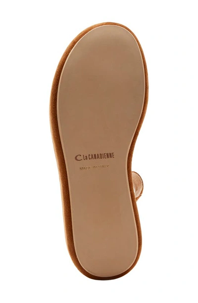 Shop La Canadienne Kinsley Ankle Strap Platform Sandal In Chestnut Suede