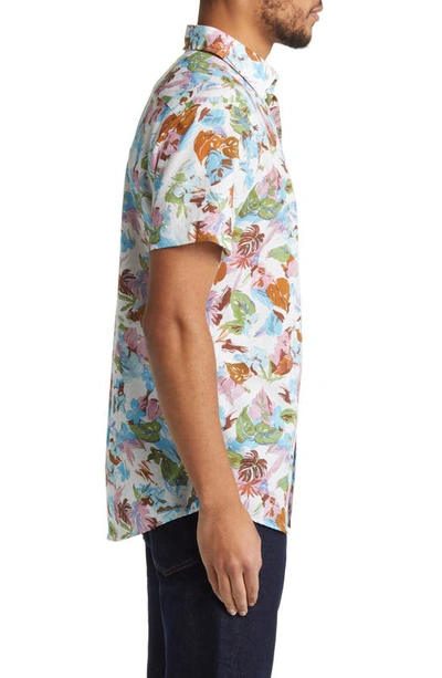 Shop Rodd & Gunn Upper Charlton Floral Short Sleeve Button-up Shirt In Dusty Rose