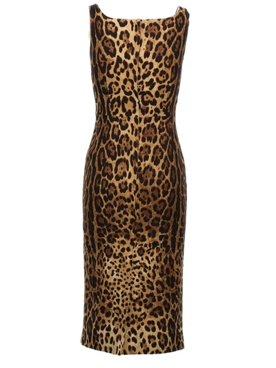 Shop Dolce & Gabbana Animalier Dress In Multicolor