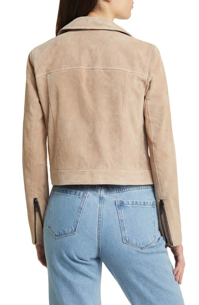 Blanknyc Suede Moto Jacket In Cold Foam