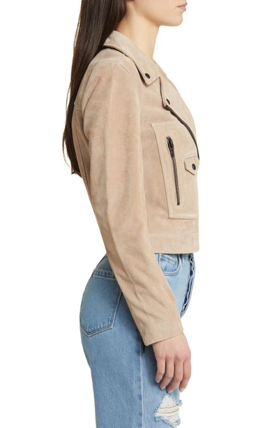 Blanknyc Suede Moto Jacket In Cold Foam
