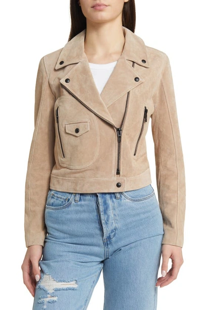 Blanknyc Suede Moto Jacket In Cold Foam