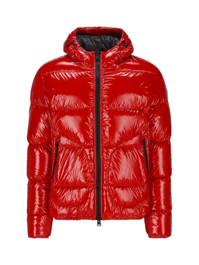 Shop Herno Coats In Red