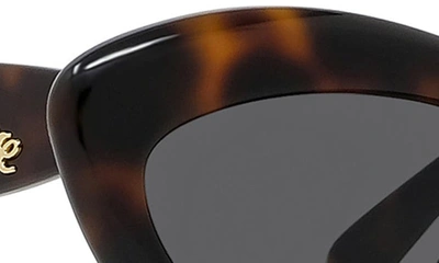 Shop Loewe Curvy 54mm Cat Eye Sunglasses In Dark Havana / Smoke