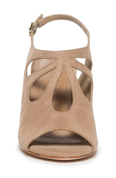 Shop Bernardo Footwear Nili Slingback Sandal In Birch