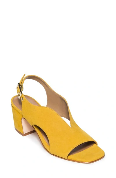 Shop Bernardo Footwear Bedford Slingback Pump In Ochre