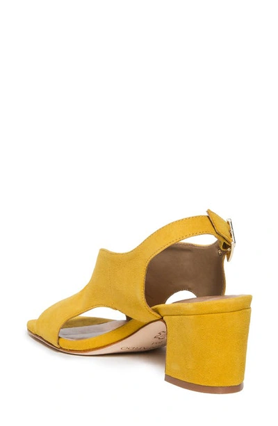 Shop Bernardo Footwear Bedford Slingback Pump In Ochre