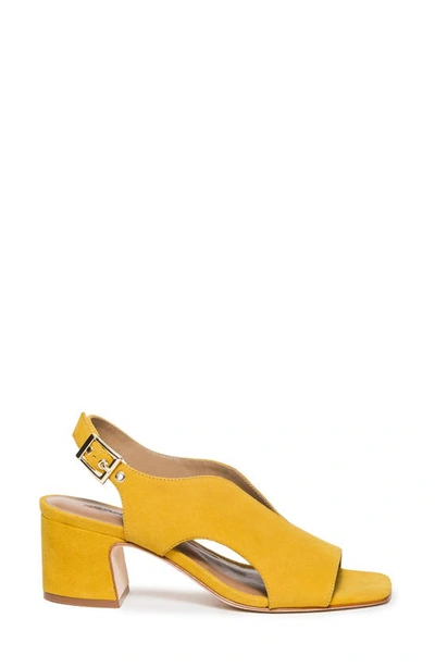 Shop Bernardo Footwear Bedford Slingback Pump In Ochre