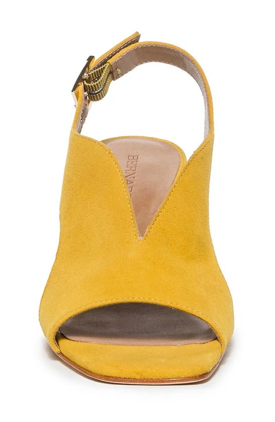 Shop Bernardo Footwear Bedford Slingback Pump In Ochre