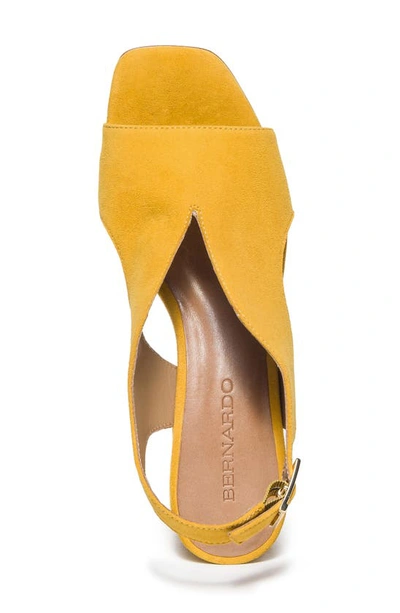 Shop Bernardo Footwear Bedford Slingback Pump In Ochre