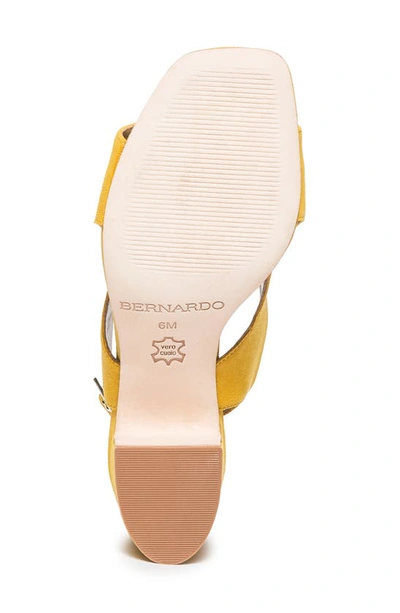 Shop Bernardo Footwear Bedford Slingback Pump In Ochre