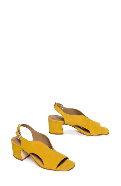 Shop Bernardo Footwear Bedford Slingback Pump In Ochre