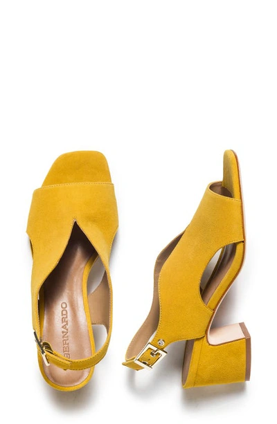 Shop Bernardo Footwear Bedford Slingback Pump In Ochre