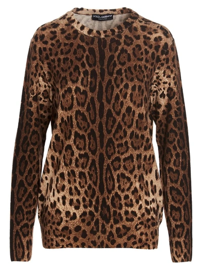 Shop Dolce & Gabbana Animalier Sweater In Multicolor