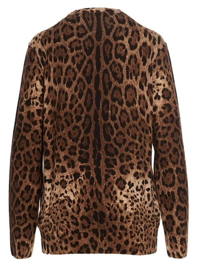 Shop Dolce & Gabbana Animalier Sweater In Multicolor