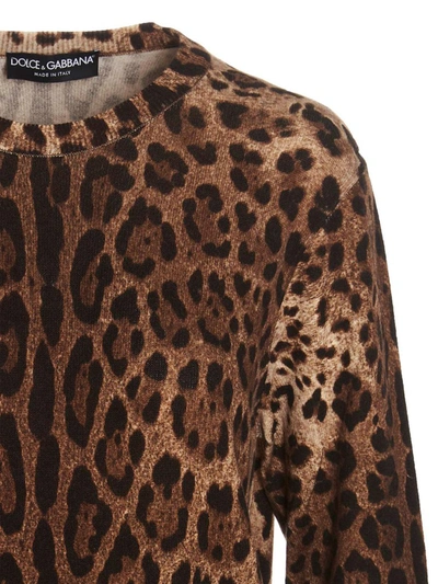 Shop Dolce & Gabbana Animalier Sweater In Multicolor