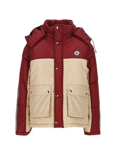 Shop Gucci Gg Color Blocked Hooded Jacket In Rosso