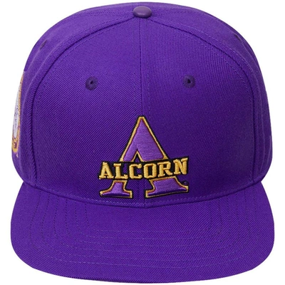 Shop Pro Standard Purple Alcorn State Braves Evergreen Primary Logo Snapback Hat