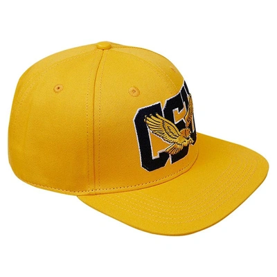 Shop Pro Standard Gold Coppin State Eagles Evergreen Csu Snapback Hat In Yellow