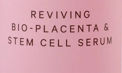 Mz Skin Replenish & Restore Placenta & Stem Cell Night Recovery Mask 1 Oz.
