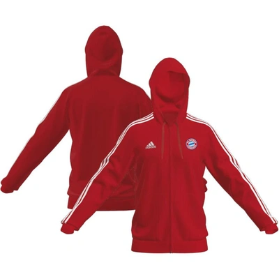 Shop Adidas Originals Adidas  Red Bayern Munich 2023/24 Dna Full-zip Hoodie