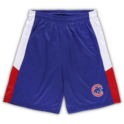 Shop Profile Royal Chicago Cubs Big & Tall Team Shorts