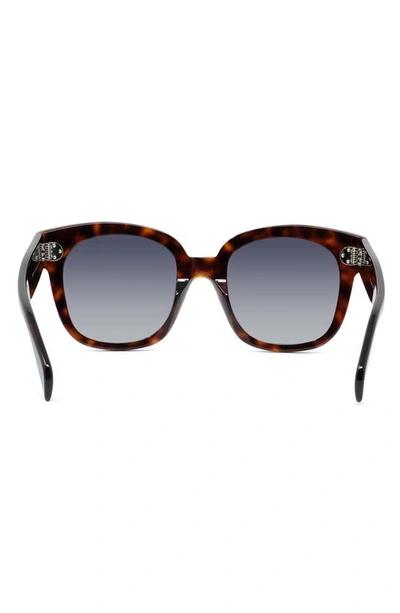 Shop Celine 54mm Square Sunglasses In Red Havan/ Smoke