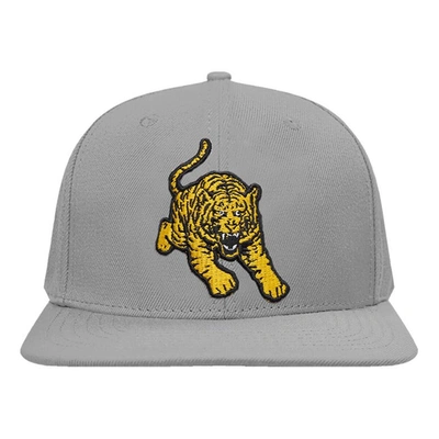 Shop Pro Standard Gray Tuskegee Golden Tigers Evergreen Mascot Snapback Hat