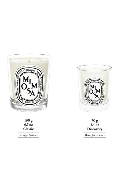 Shop Diptyque Mimosa Scented Candle, 6.5 oz