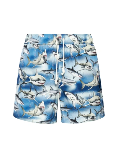 Shop Palm Angels Swim Shorts With Sharks Print In Multicolor