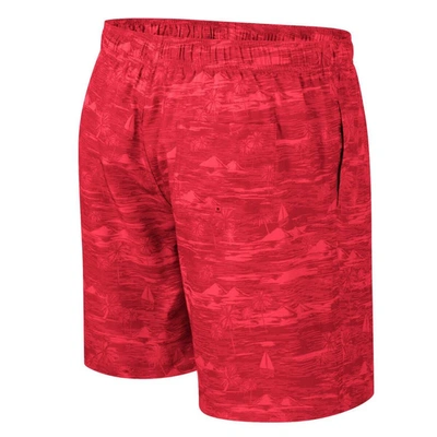 Shop Colosseum Red Louisville Cardinals Ozark Swim Shorts