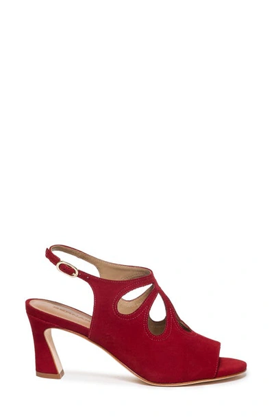 Shop Bernardo Footwear Nili Slingback Sandal In Dark Red