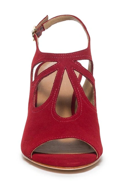 Shop Bernardo Footwear Nili Slingback Sandal In Dark Red