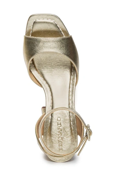 Shop Bernardo Footwear Nyack Ankle Strap Sandal In Champagne
