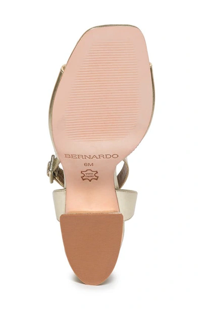 Shop Bernardo Footwear Nyack Ankle Strap Sandal In Champagne