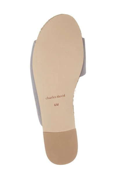 Shop Charles David Stance Slide Sandal In Light Grey Suede