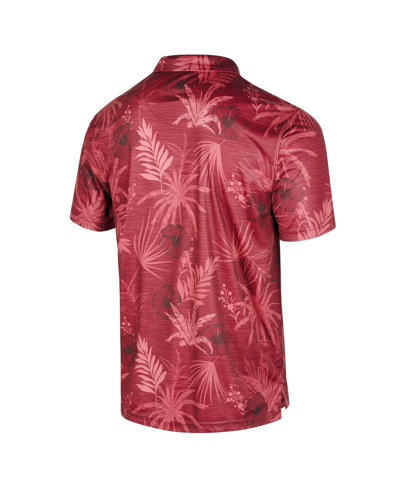 Colosseum Cardinal Arkansas Razorbacks Palms Team Polo In Cardinal