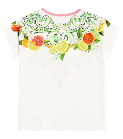 Shop Dolce & Gabbana Printed Cotton Jersey T-shirt In Multicoloured