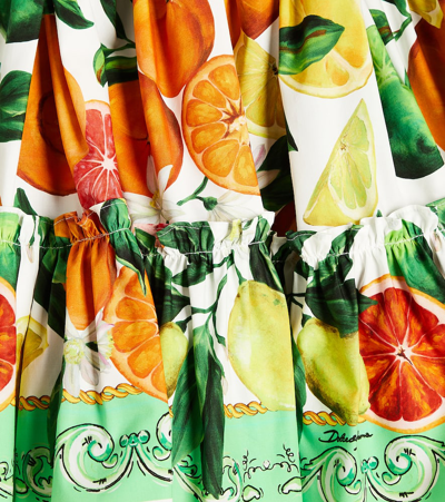 Dolce & Gabbana Printed Cotton Skirt In Multicoloured