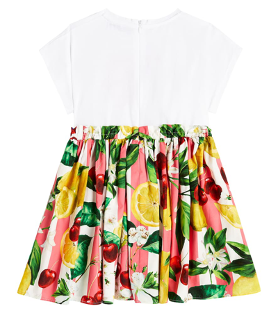 Shop Dolce & Gabbana Printed Cotton Shirt Dress In Multicoloured