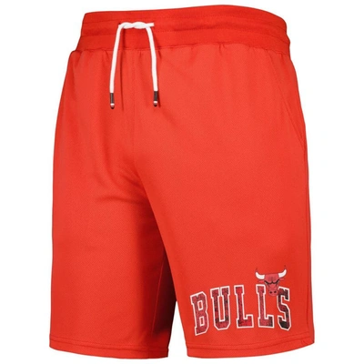 Shop Tommy Jeans Red Chicago Bulls Mike Mesh Basketball Shorts