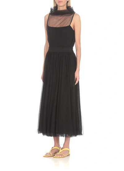 Shop Fabiana Filippi Tulle Skirt In Black