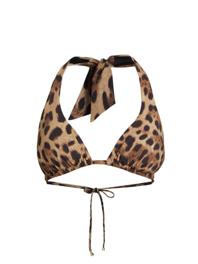 Shop Dolce & Gabbana Women's Leopard Halter Bikini Top In Leo New