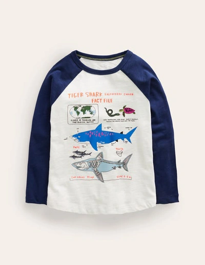 Shop Mini Boden Raglan Fact File T-shirt Ivory/navy Sharks Boys Boden